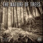 The Nature Of Trees  Photography By Paul Kozal Wall Calendar 2022