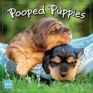 Pooped Puppies Wall Calendar 2022 by Various