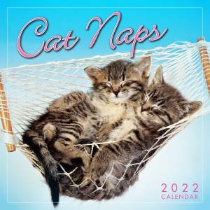 Cat Naps Mini Calendar 2022 by Various