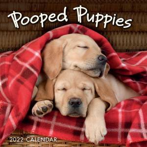 Pooped Puppies Mini Calendar 2022 by Various