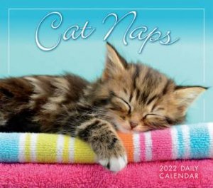 Cat Naps Boxed Calendar 2022 by Various