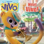 Meet Vivo