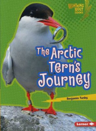 The Arctic Tern's Journey by Tunby Benjamin