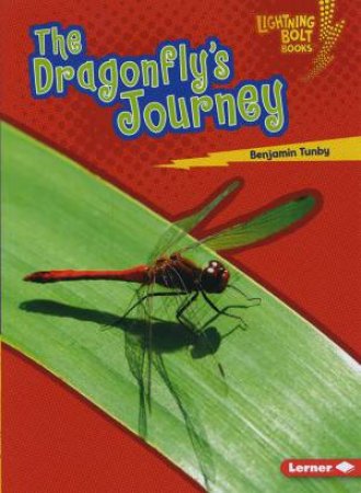 The Dragonfly's Journey by Tunby Benjamin