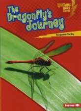 The Dragonflys Journey