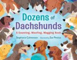 Dozens Of Dachshunds