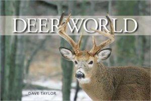 Deer World by TAYLOR DAVE