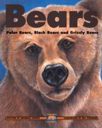 Bears by DEBORAH HODGE