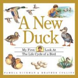 New Duck by PAMELA HICKMAN