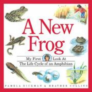 New Frog by PAMELA HICKMAN