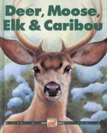 Deer, Moose, Elk and Caribou by DEBORAH HODGE