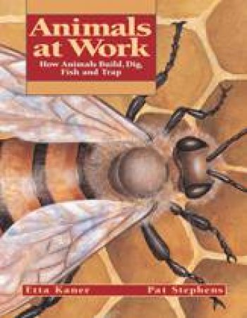 Animals at Work by ETTA KANER