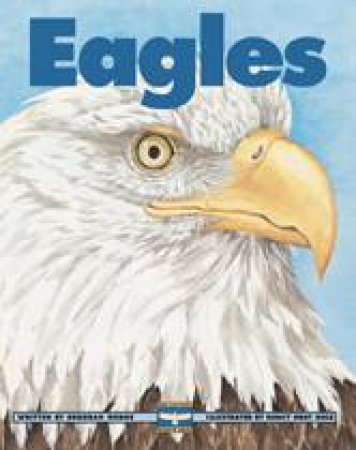 Eagles by DEBORAH HODGE