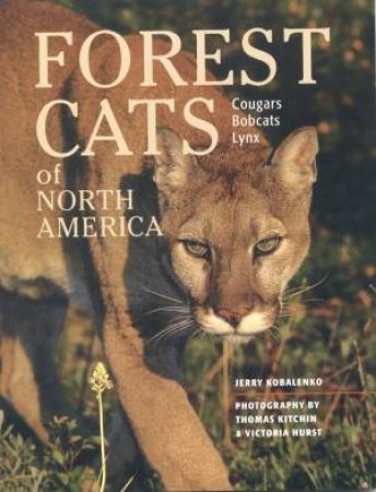 Forest Cats of North America by KOBALENKO JERRY