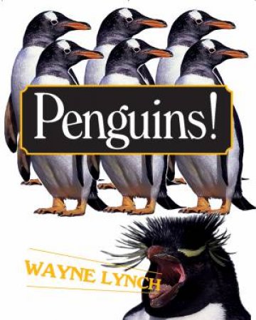 Penguins! by LYNCH WAYNE