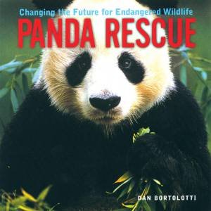 Panda Rescue by BORTOLOTTI DAN