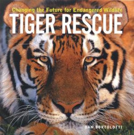 Tiger Rescue by BORTOLOTTI DAN