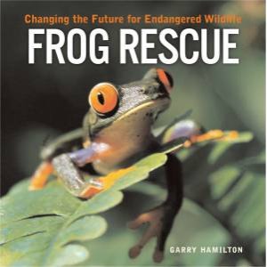 Frog Rescue by HAMILTON GARY