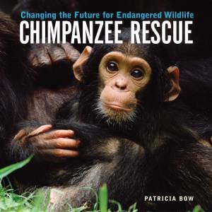 Chimpanzee Rescue by BOW PATRICIA