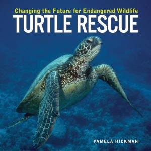 Turtle Rescue by HICKMAN PAMELA