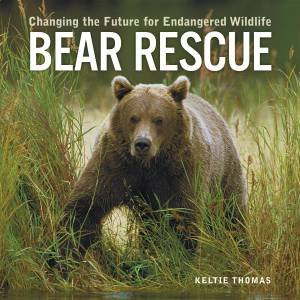 Bear Rescue by THOMAS KELTIE