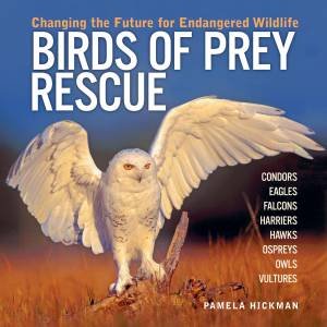 Birds of Prey Rescue by HICKMAN PAMELA