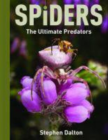 Spiders: the Ultimate Predators by DALTON STEPHEN