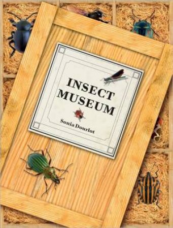 Insect Museum by DOURLOT SONIA