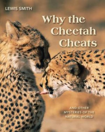 Why the Cheetah Cheats by SMITH LEWIS