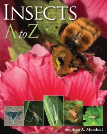 Insects A to Z by MARSHALL STEPHEN