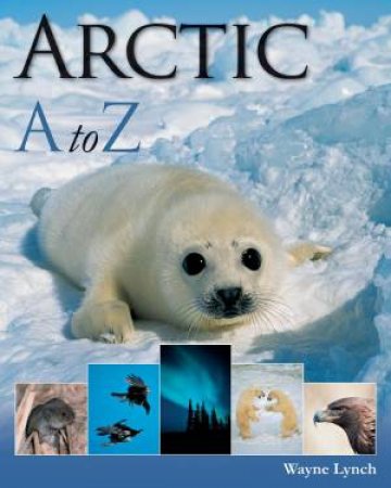 Arctic A to Z by LYNCH WAYNE