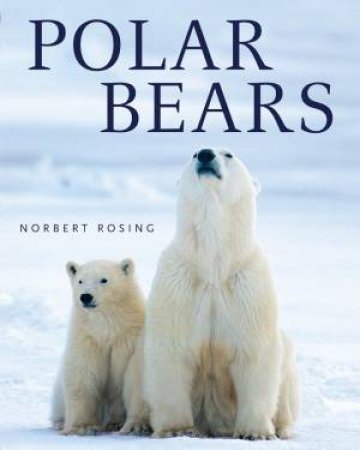 Polar Bears by ROSING NORBERT