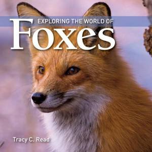 Exploring the World of Foxes by READ TRACY