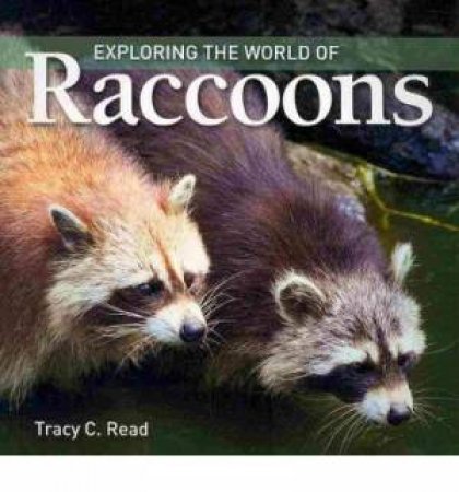 Exploring the World of Raccoons by READ TRACY