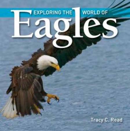 Exploring the World of Eagles by READ TRACY C