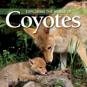 Exploring the World of Coyotes by READ TRACY