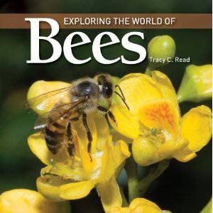 Exploring the World of Bees by READ TRACY