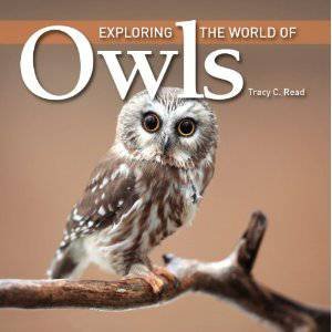 Exploring the World of Owls by READ TRACY