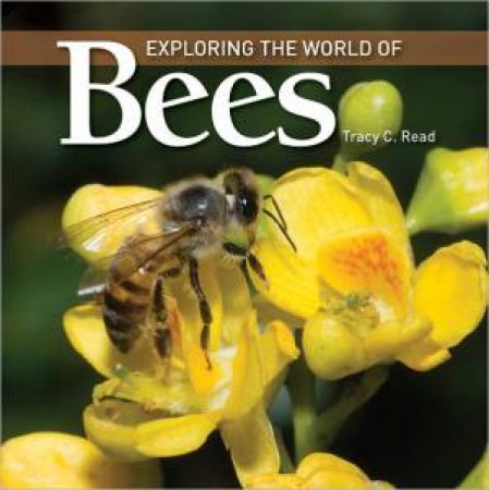 Exploring the World of Bees by READ TRACY C