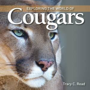 Exploring the World of Cougars by READ TRACY C