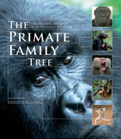 The Primate Family Tree: The Amazing Diversity Of Our Closest Relatives by Ian Redmond 