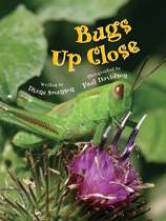 Bugs Up Close by DIANE SWANSON