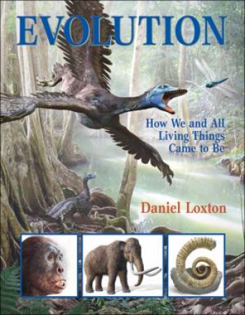 Evolution by DANIEL LOXTON