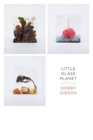 Little Glass Planet by Dobby Gibson