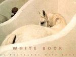 White Book Postcard Packets