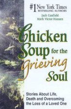 Chicken Soup For The Grieving Soul