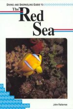 Lonely Planet Diving and Snorkeling The Red Sea 1st Ed