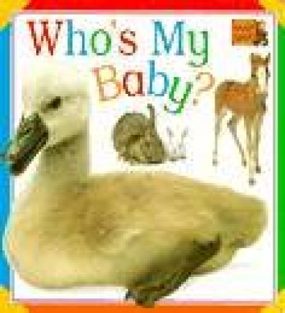 Who's My Baby?: Animal Chunky Board Books by Various