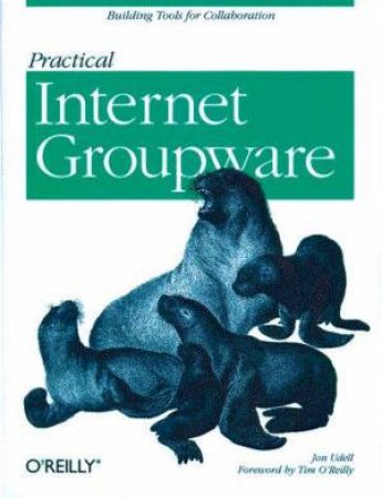 Practical Internet Groupware by Jon Undell