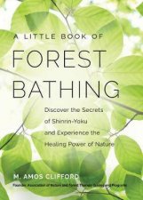 Your Guide To Forest Bathing